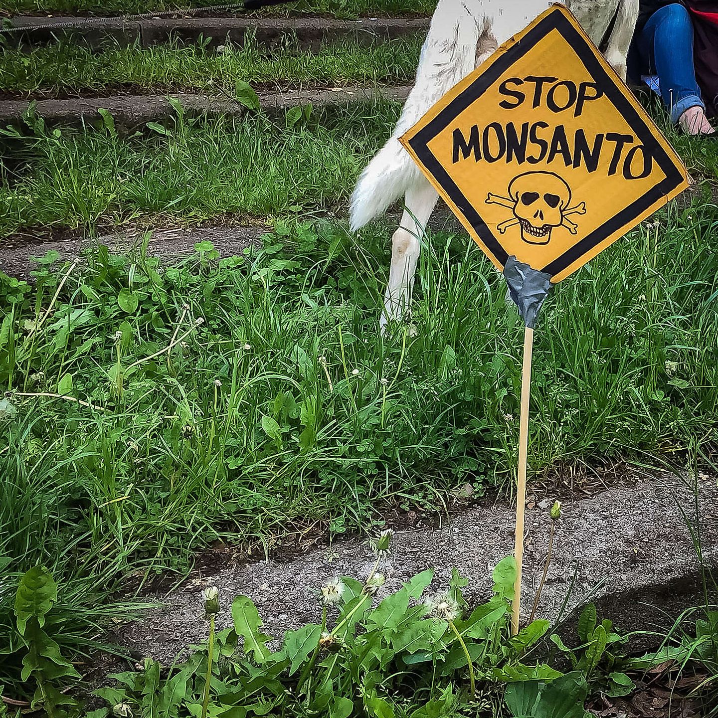 2017_05_34799517685_8e8a8cbf67_h