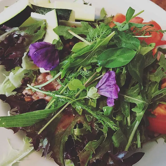 Die besten Wildkräutersalate