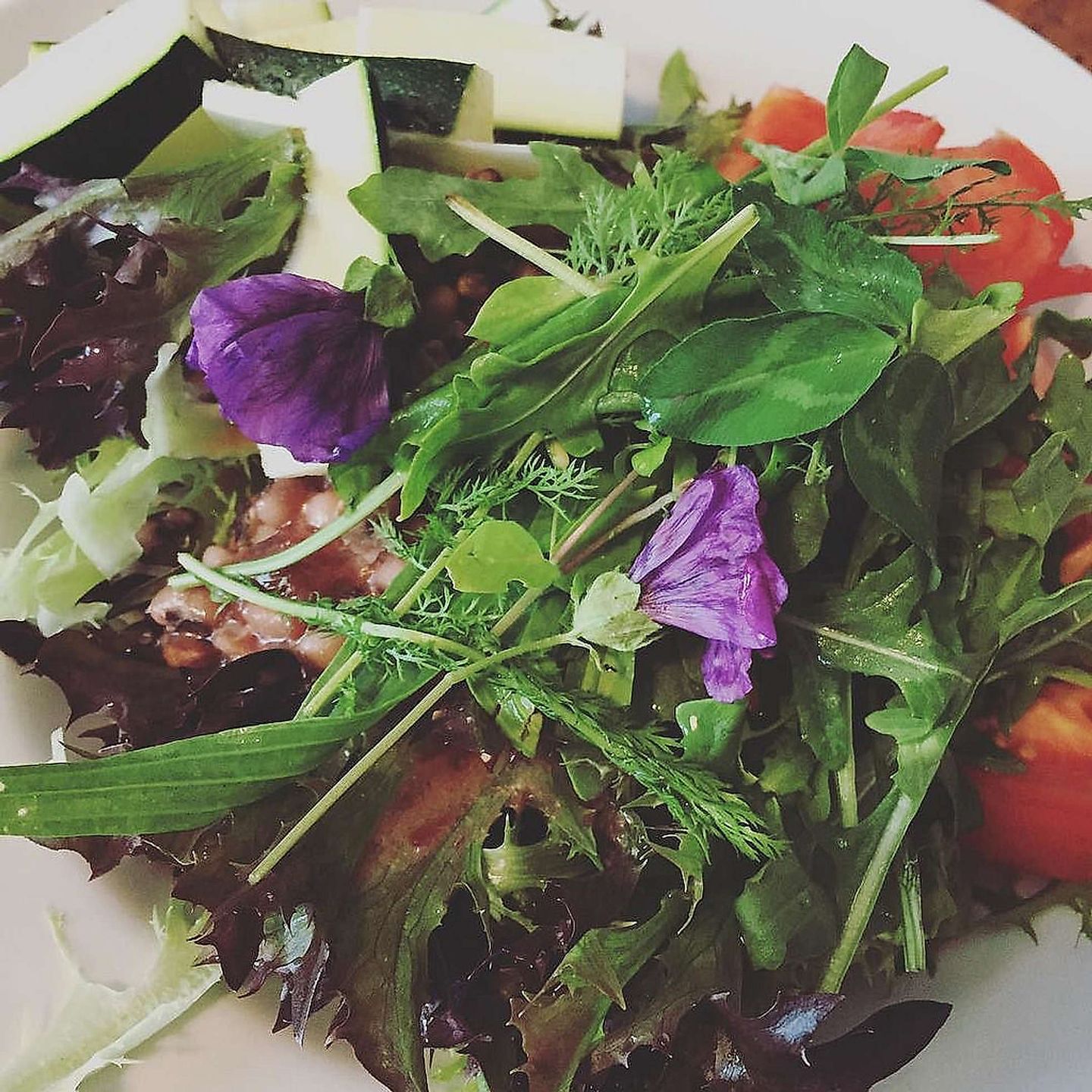 2017_07_35429761996_16d1c76d73_b