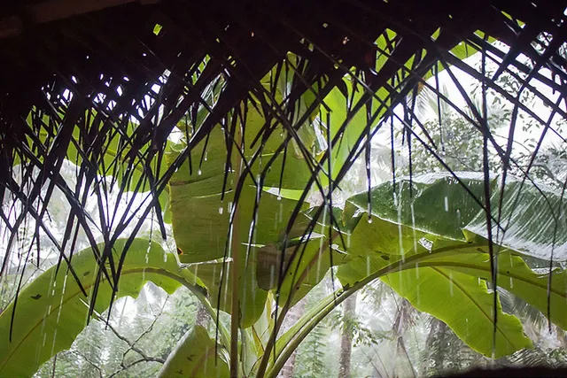 Earth Overshoot Day 2017