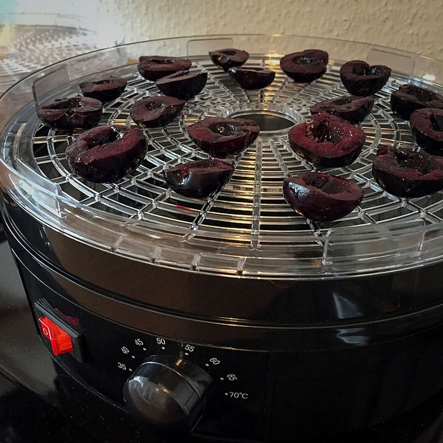 2017_08_35775340193_4536a81967_z