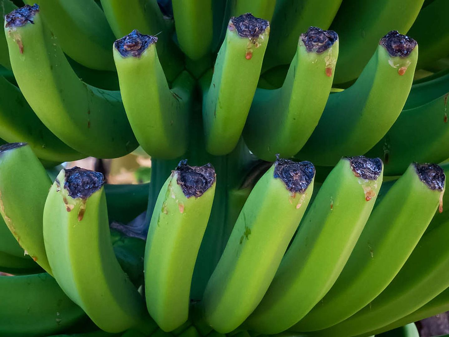 2017_09_Gran-Canaria-407