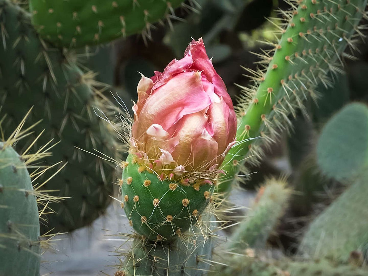 2017_09_Gran-Canaria-488