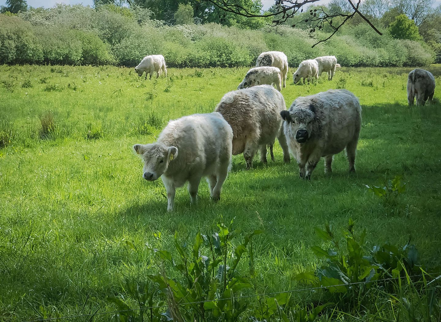 2017_11_26835754480_fdee382bc3_k