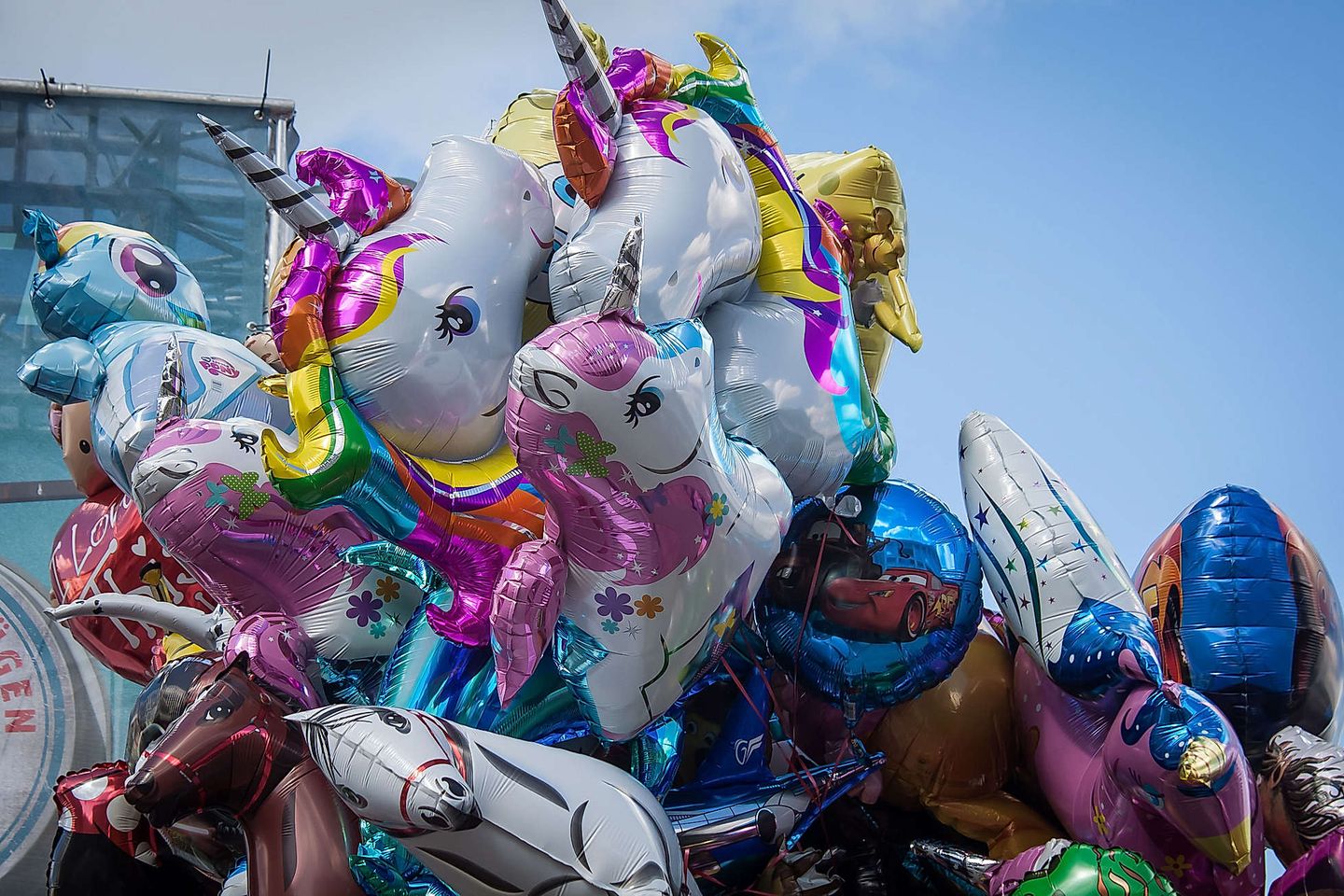 2017_11_36166975164_4783069b61_k