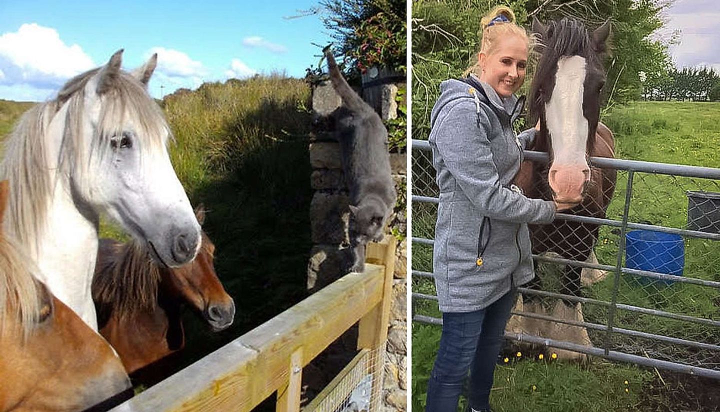 2017_11_Kara-Puss-In-Boots