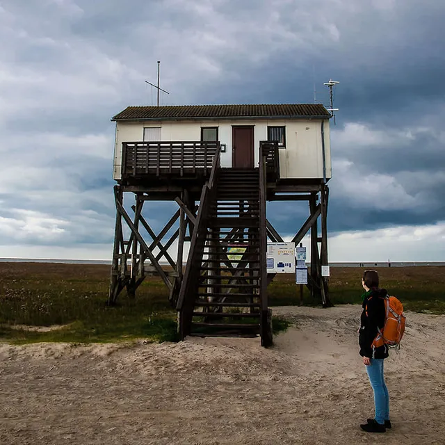 `Komplett vegan leben - Ist das möglich?`