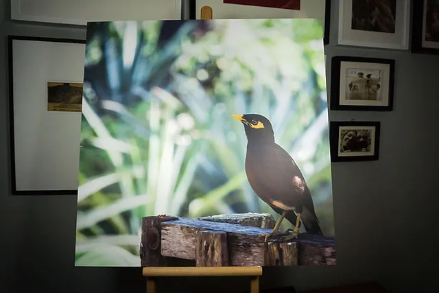 Ich habe Saal Digital getestet