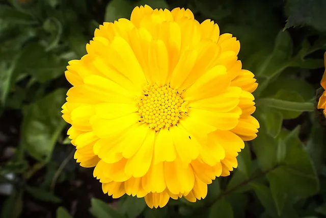 15 Lesetipps für Vegan-Einsteiger