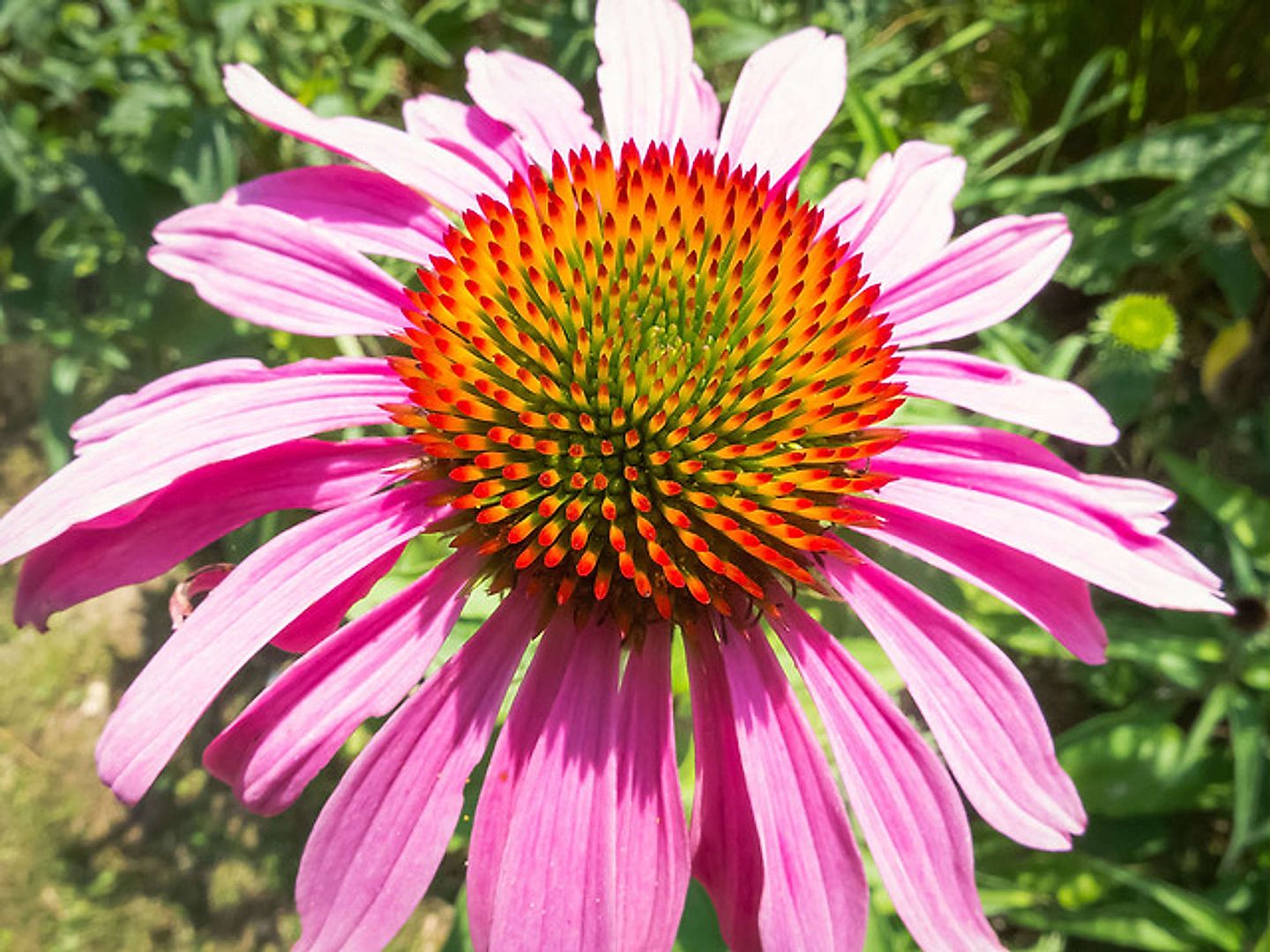 2018_03_14598683580_0f1b452d5a_z