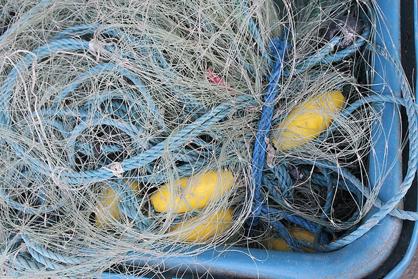 2018_04_11355109883_b10e2b2963_z