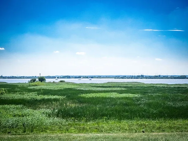 Radwandern an der Elbe