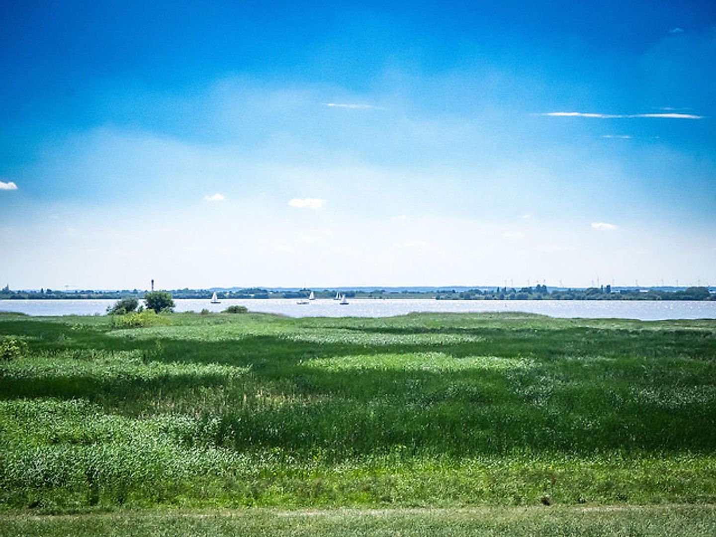 2018_05_41667070274_c51d3aa7fe_z