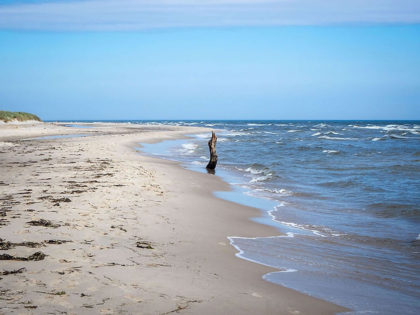 2018_07_41862621420_a45b81210d_z