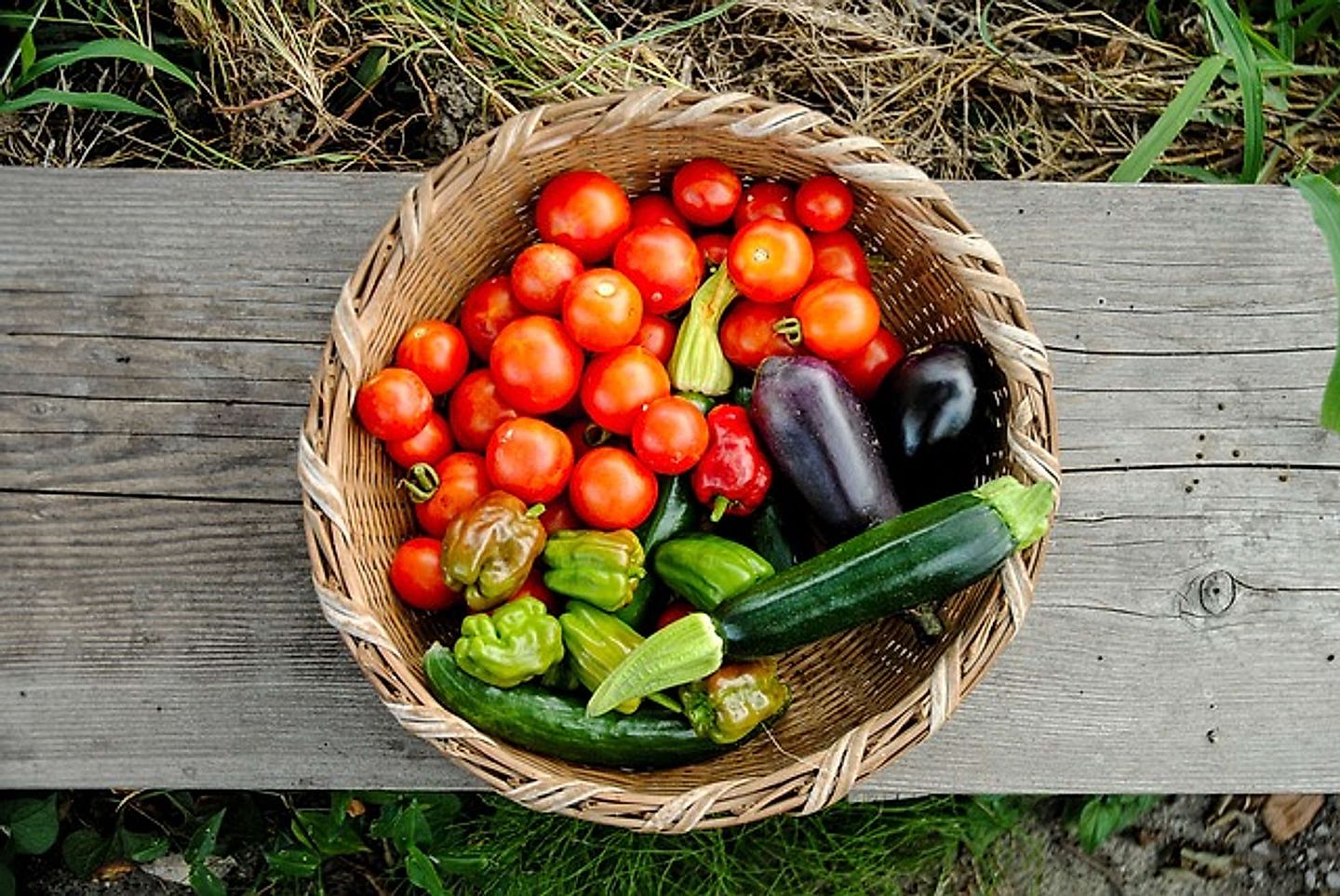 2018_08_harvest-3611940_640