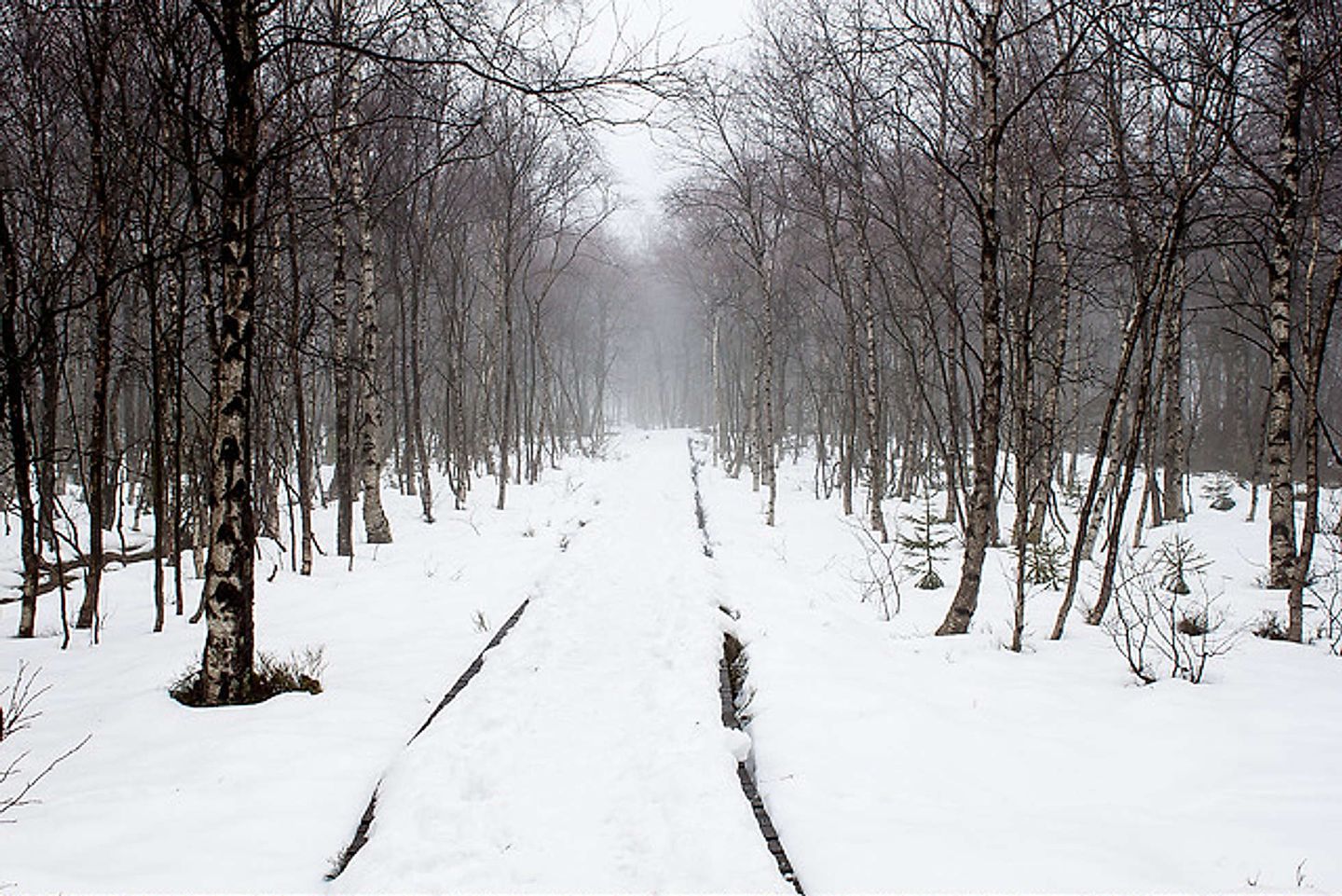 2018_09_12834745223_1a642a3bbc_z