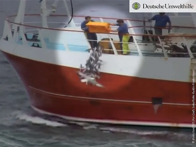 `Deutsche Umwelthilfe`