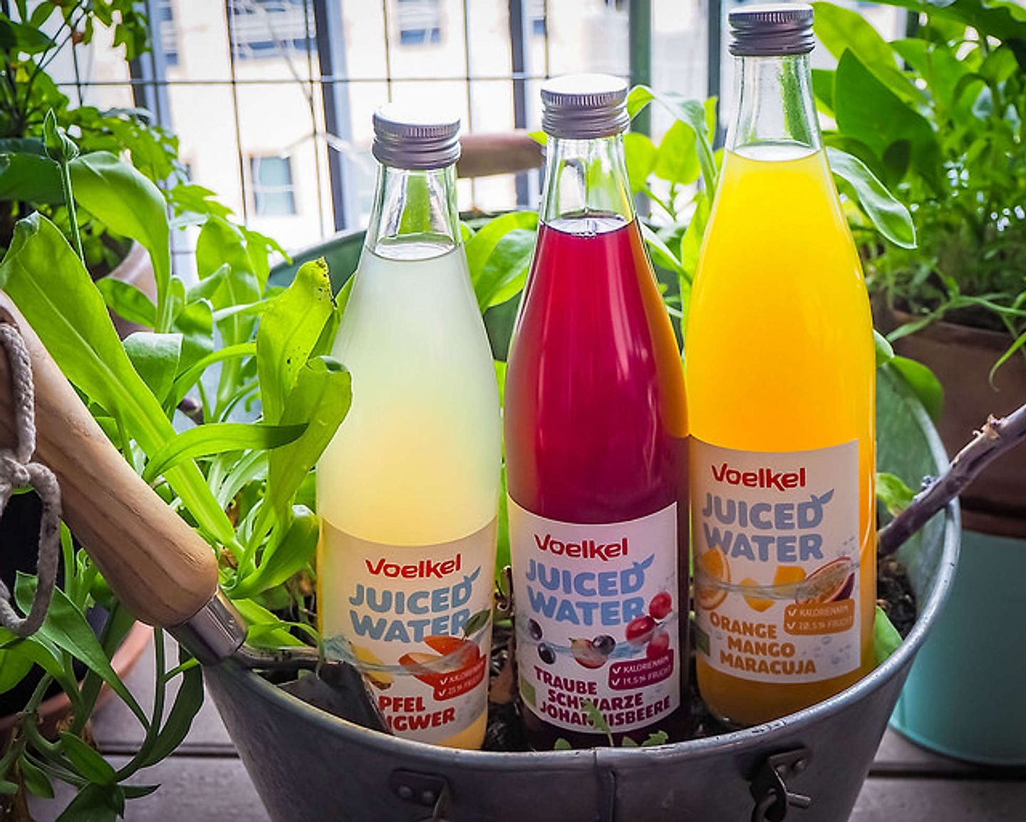 2018_09_44604727352_395fe0405d_z