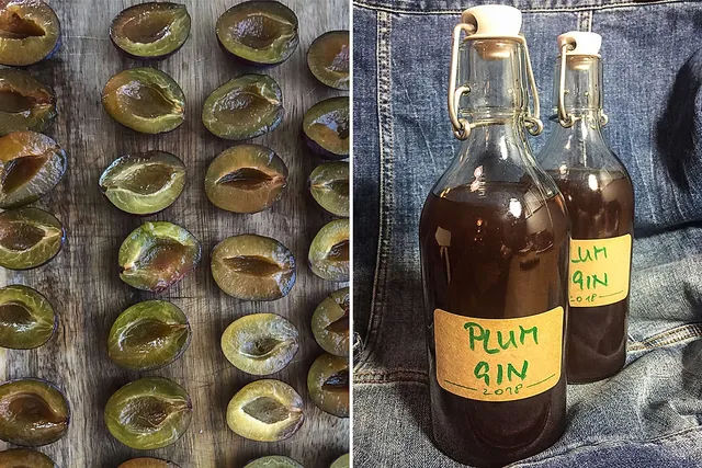 DIY Plum Gin