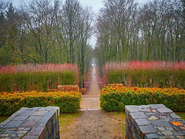 Der Volkspark Altona im Januar