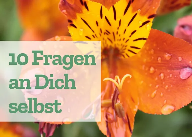 10 Fragen, die Du Dir selbst stellen solltest