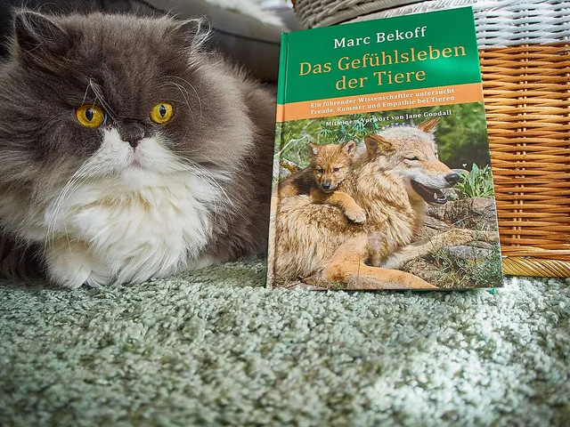 "Das Gefühlsleben der Tiere"
