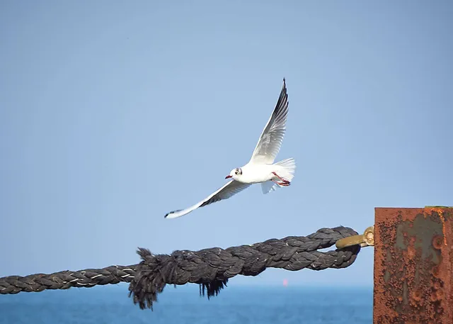 Ein Hauch von Frühling in Cuxhaven