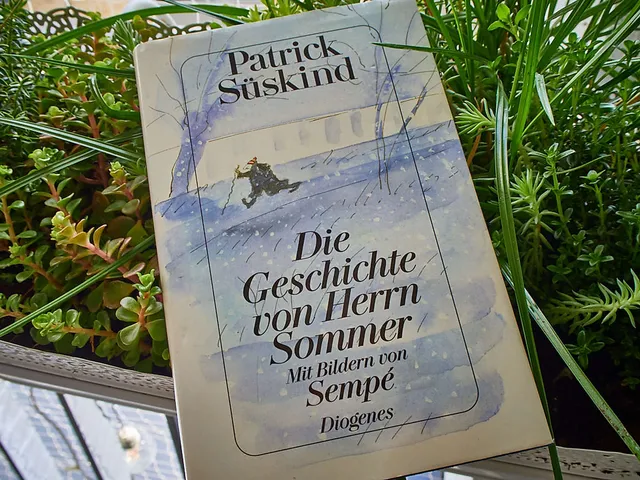 `die-geschichte-von-herrn-sommer`