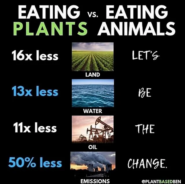 `warum-wir-hunde-lieben-schweine-essen-und-kuehe-anziehen`