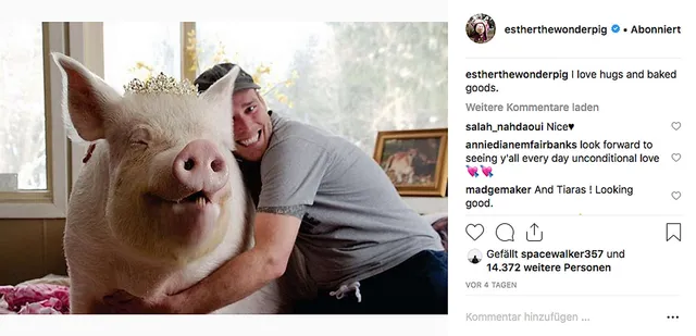 `warum-wir-hunde-lieben-schweine-essen-und-kuehe-anziehen`