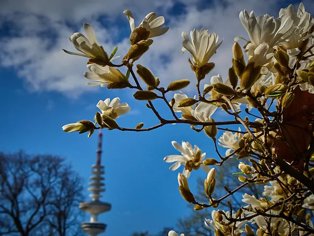 Frühling...