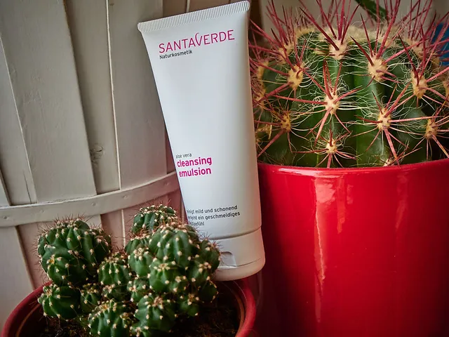 Aloe Vera Reinigungsemulsion von Santaverde