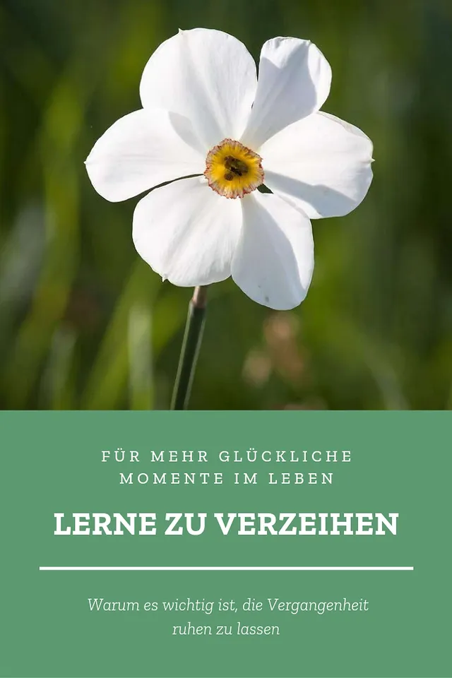 `glueckliche-momente`