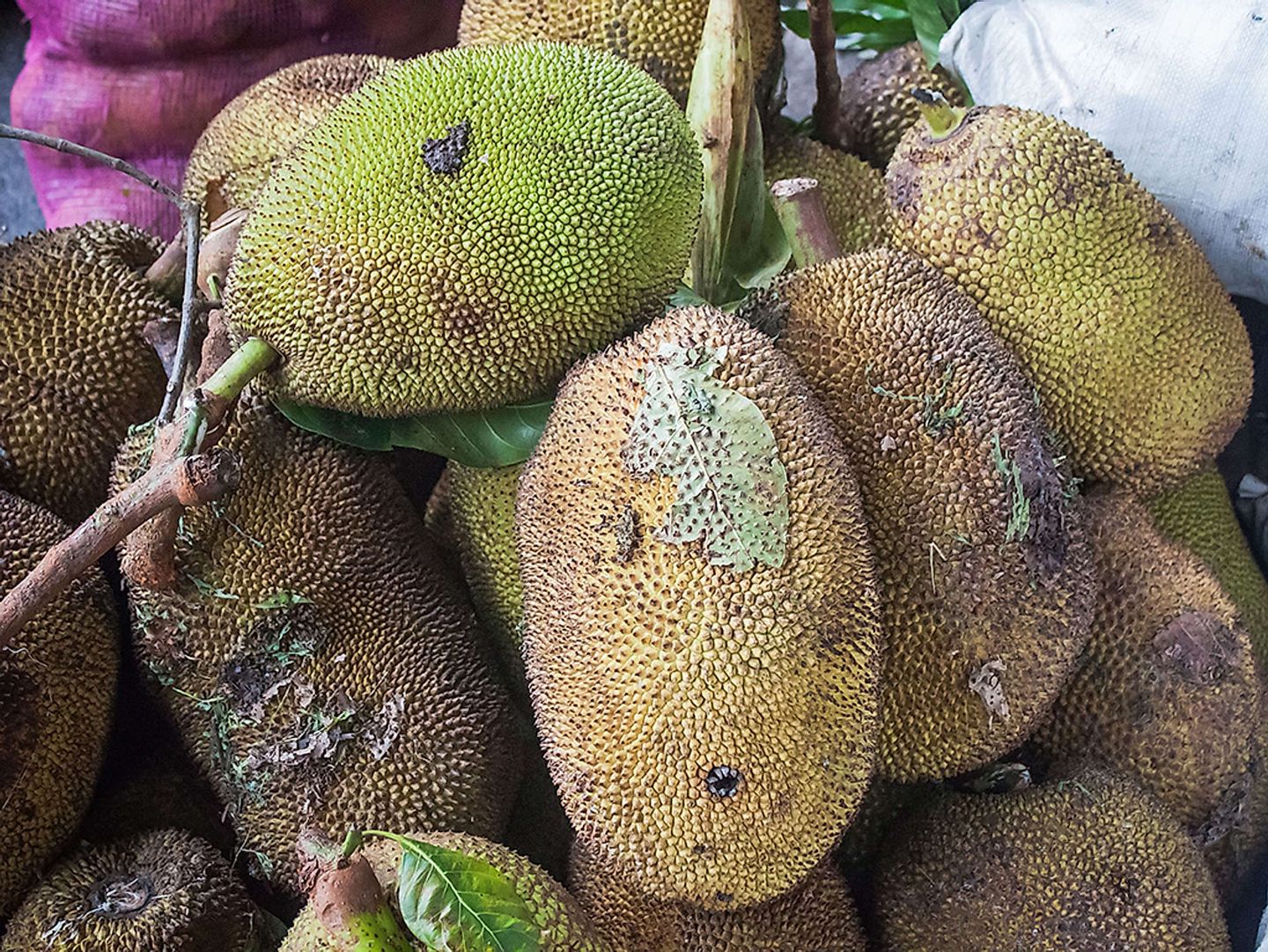 2019_06_leder-aus-aussortierten-fruechten