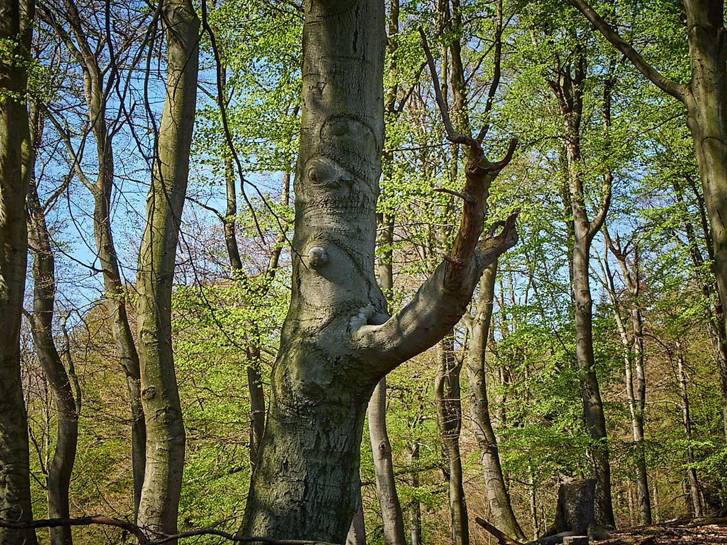 2019_07_2019-04-19-bielefeld-7