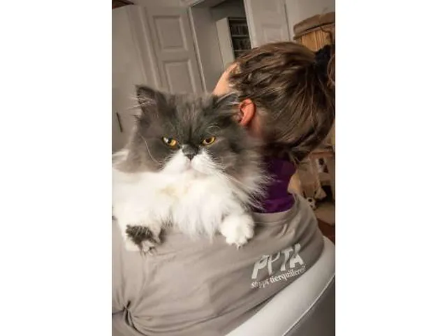 Ist Pelztierhaltung vielleicht schon bald verboten?