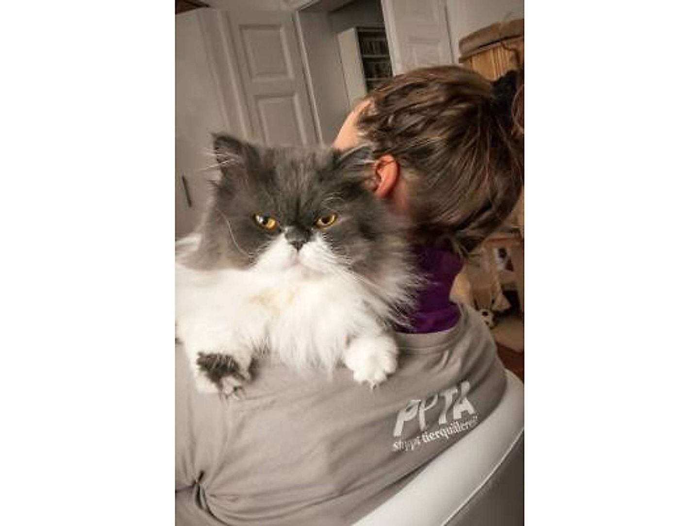 2019_07_pelztierhaltung