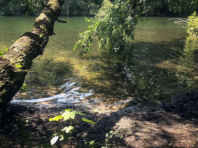 Earth Overshoot Day 2019