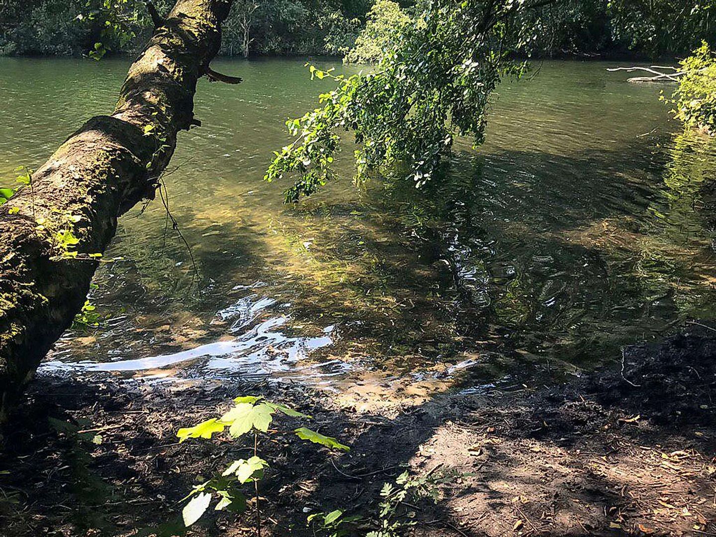 2019_07_photo_2019-07-28_17-31-51