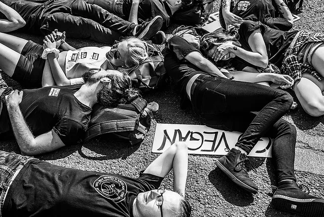 Animal Rights March 2019