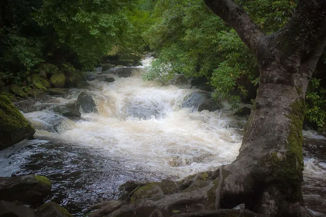 Das Cradle-to-Cradle-Prinzip