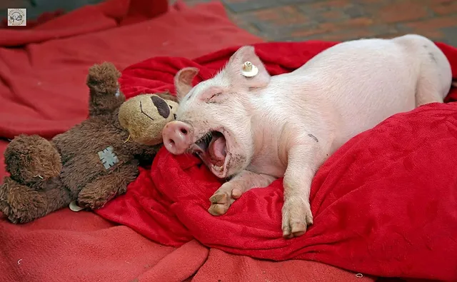 `Frederik kann sich jetzt entspannen.`