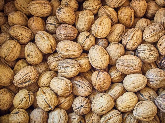 `hof-windkind-walnuesse`