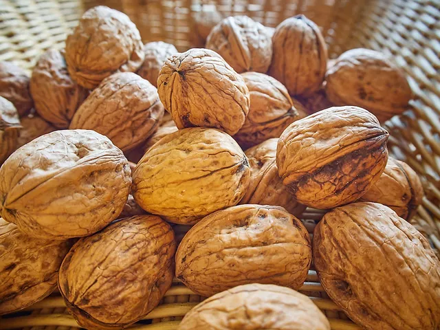 `hof-windkind-walnuesse`