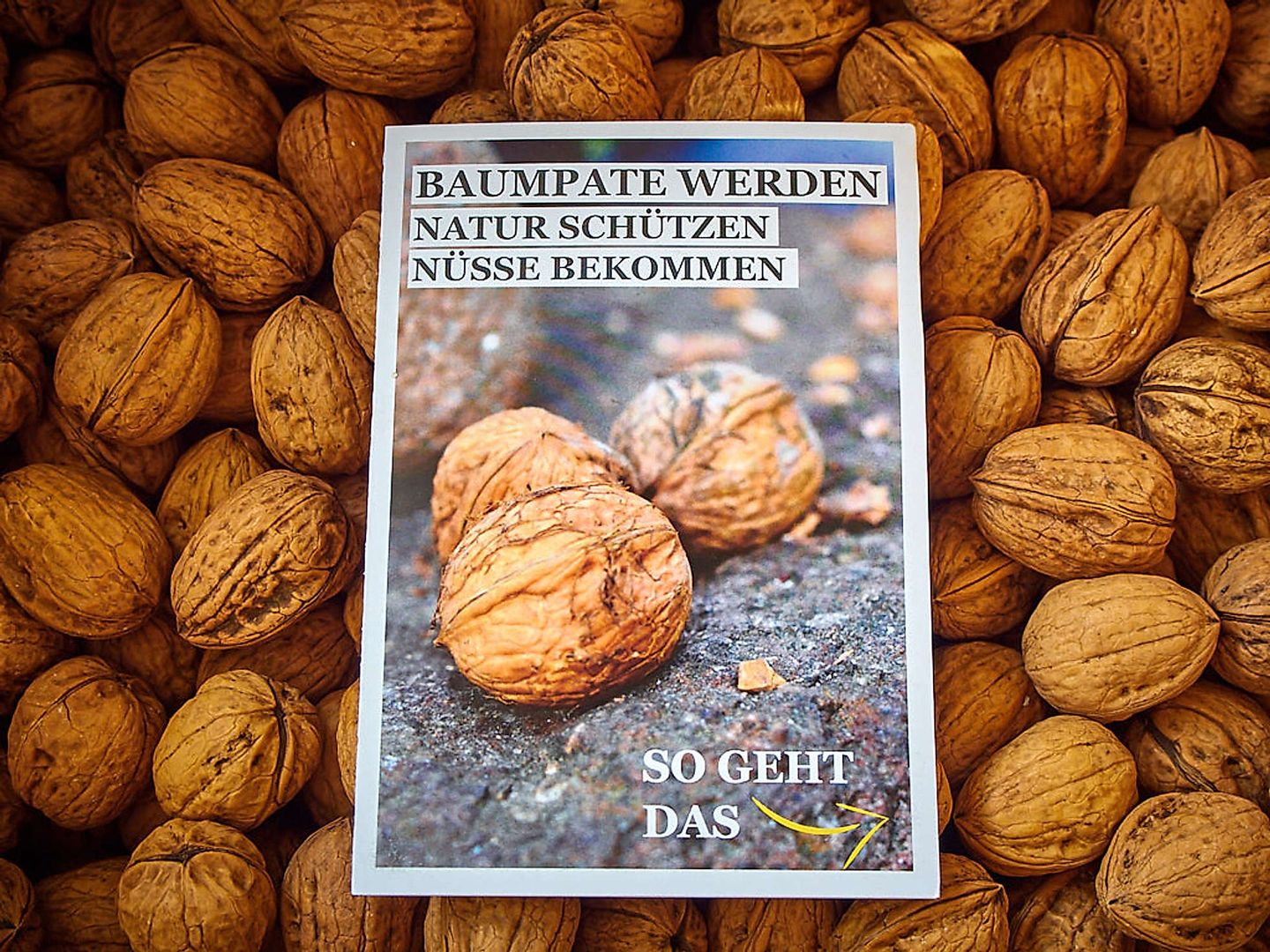 2019_09_2019-09-19-hof-windkind-walnuesse