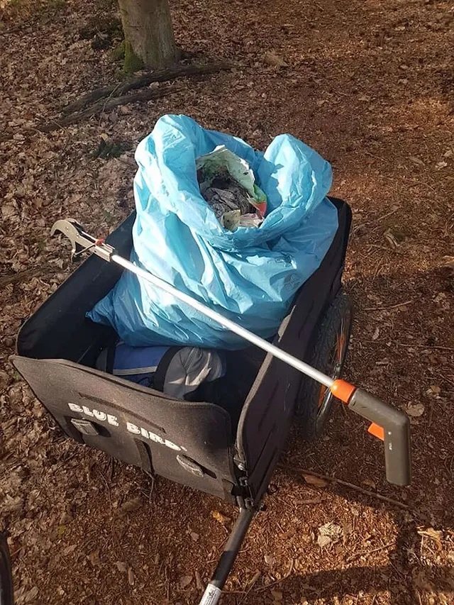 `der-waechter-des-waldes`