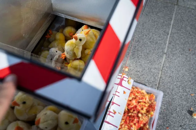 `kueken-timo-stammberger-albert-schweitzer-stiftung`