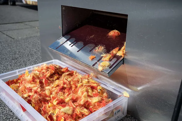 `kueken-timo-stammberger-albert-schweitzer-stiftung 2`