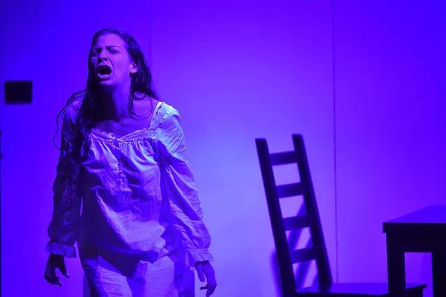 Kathrin Eva Schmid vom Tierschutztheater im Interview