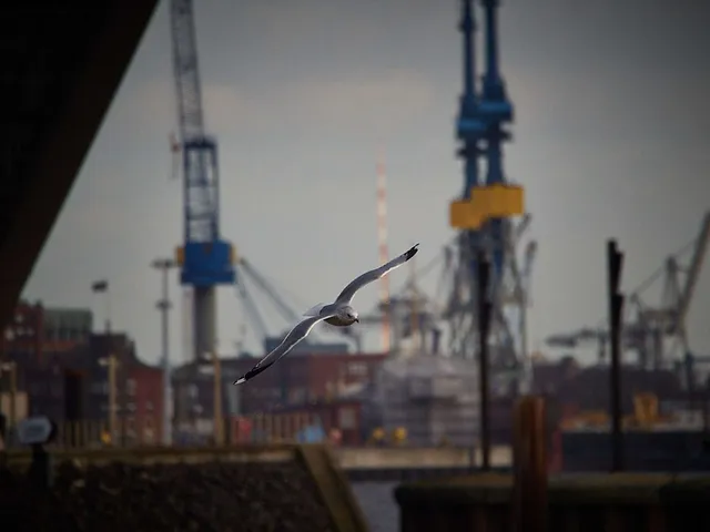 Winter im Hafen Altona